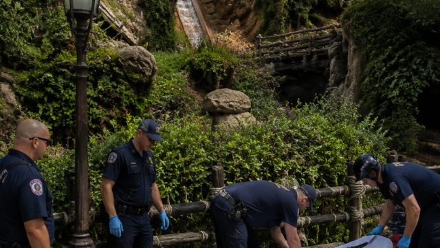 Incident at Disneyland: Visitor Falls from Tiana's Bayou Adventure Ride